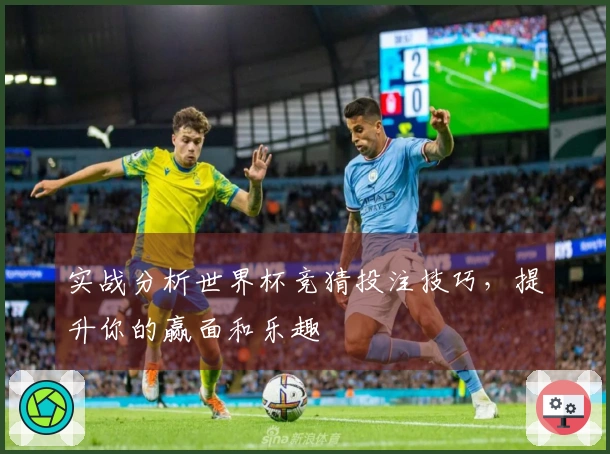 实战分析世界杯竞猜投注技巧，提升你的赢面和乐趣