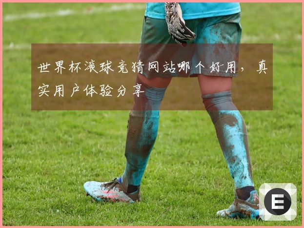 世界杯滚球竞猜网站哪个好用，真实用户体验分享