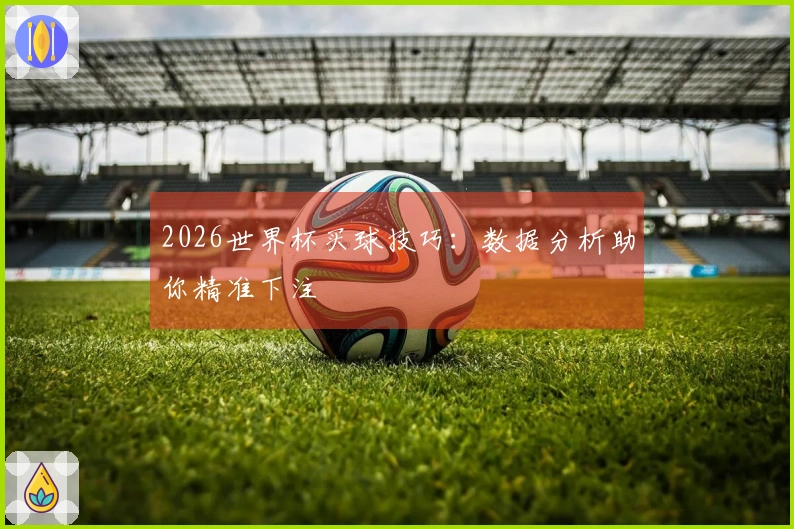 2026世界杯买球技巧：数据分析助你精准下注