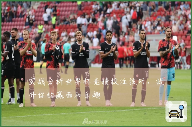 实战分析世界杯竞猜投注技巧，提升你的赢面和乐趣